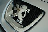 PEUGEOT LION.jpg