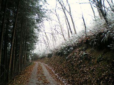 積雪