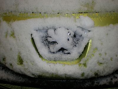 雪です！