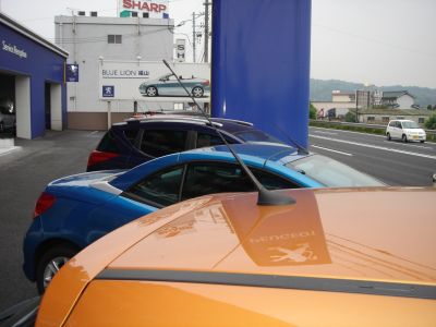 ちょっと短い!?