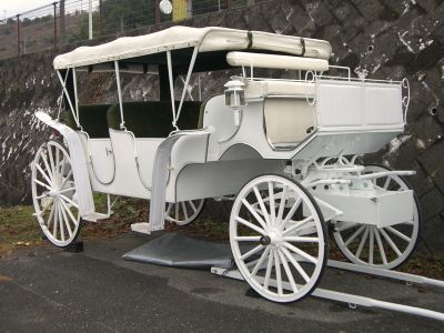 2008  ドリーム白馬車
