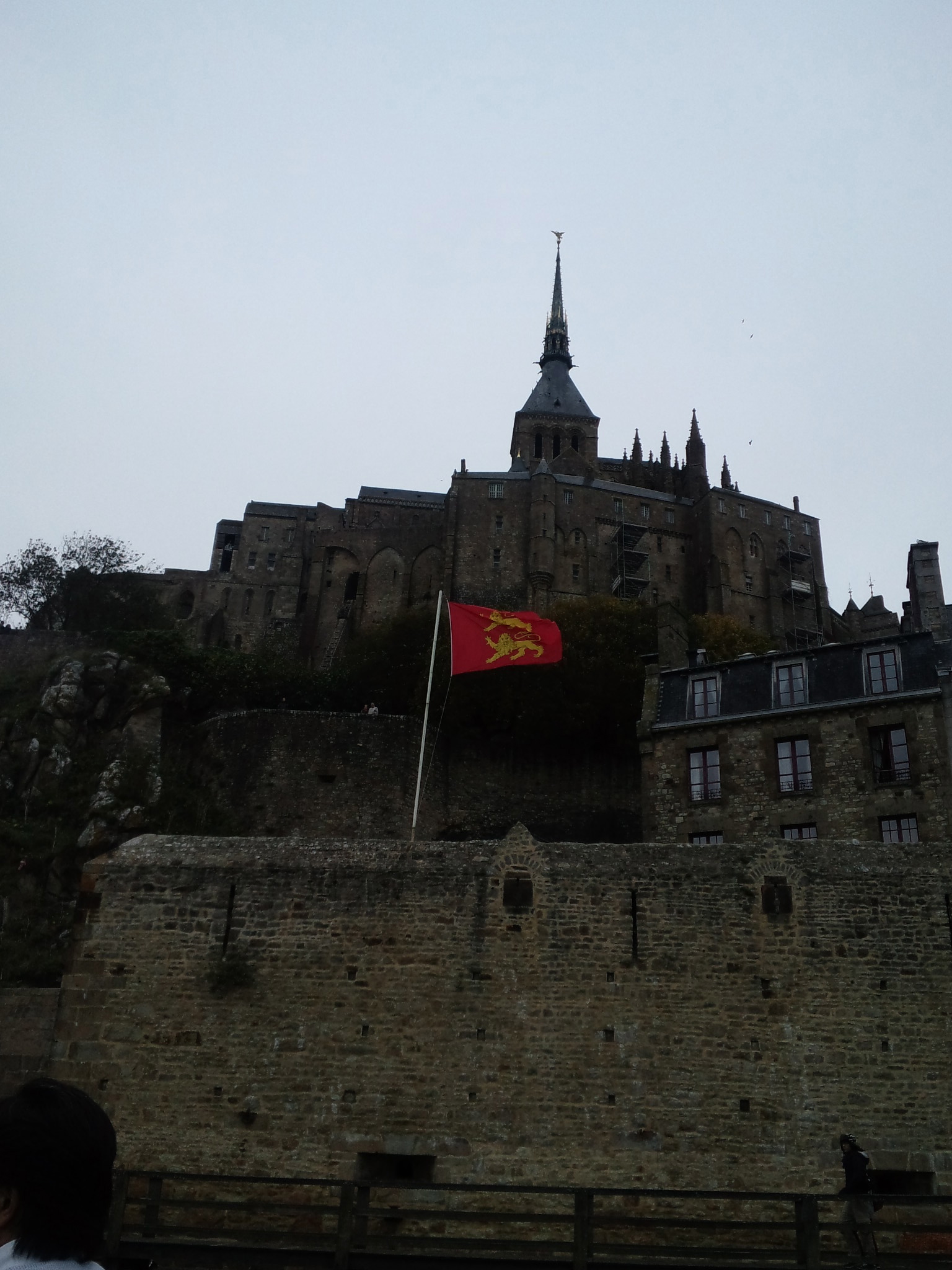 フランス研修続編