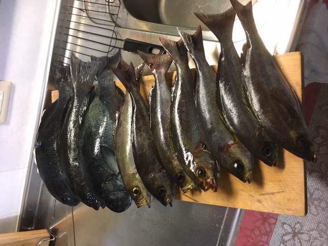 またも行って来ました！愛媛県！