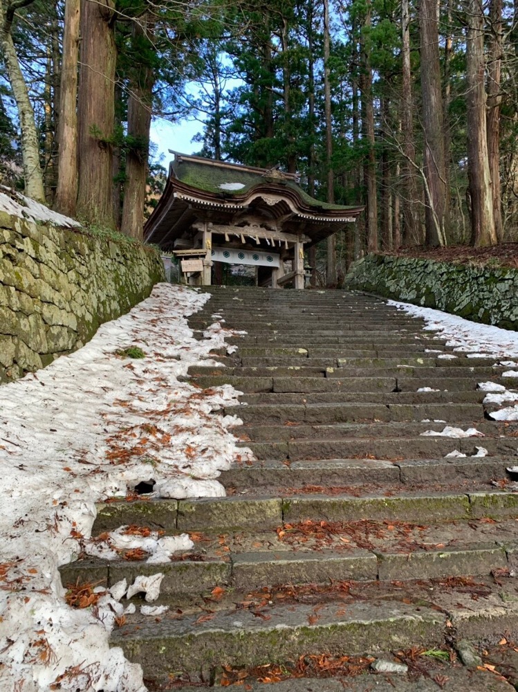 日帰り鳥取！