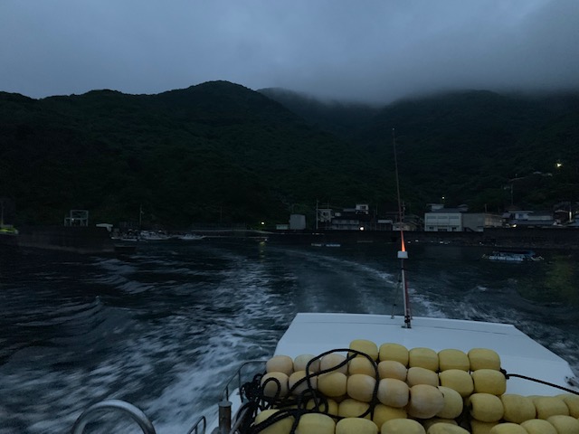 夏の釣り