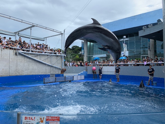 夏季休業のお知らせ