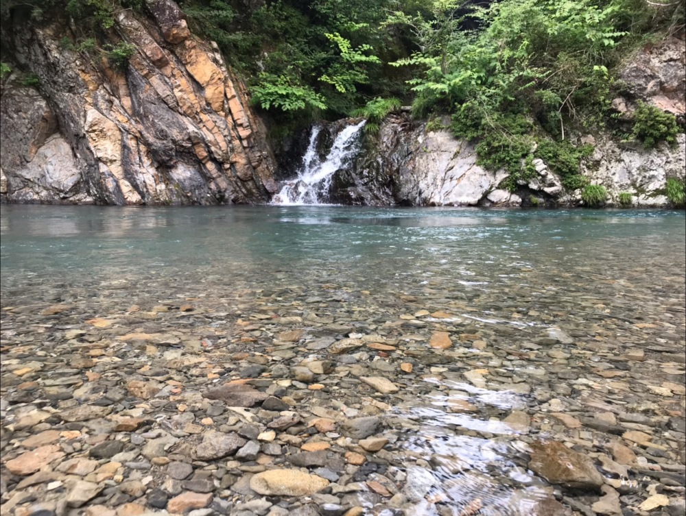 私の夏休み。