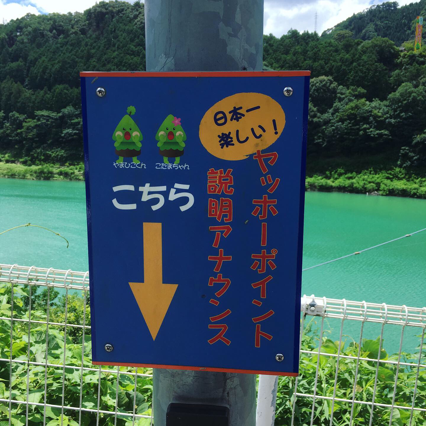 私の夏休み。