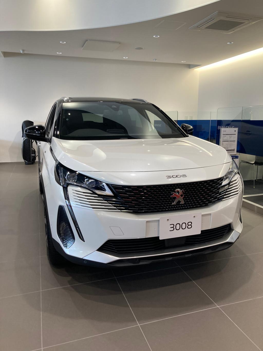 特別仕様車のご案内